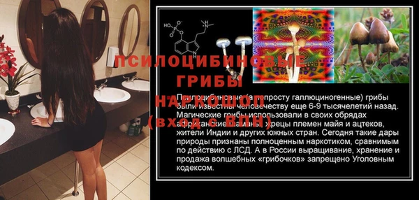 Альфа ПВП Алзамай