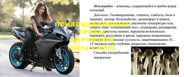 амф Алексеевка