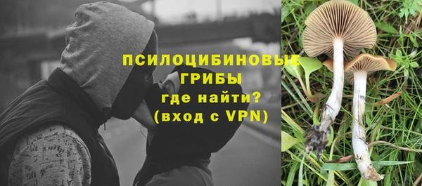 Альфа ПВП Алзамай