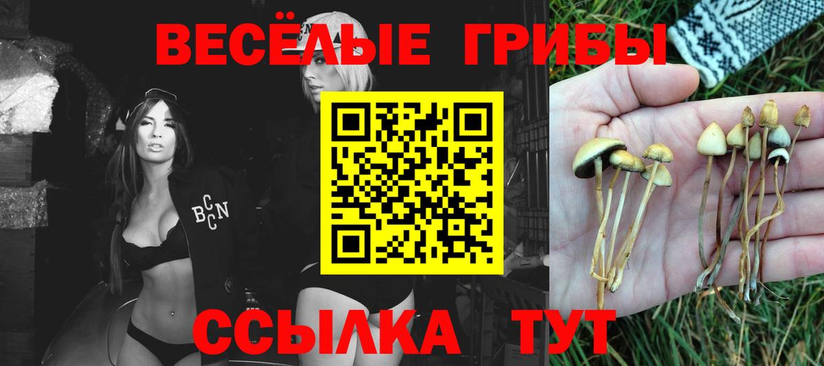 Галлюциногенные грибы Magic Shrooms Куйбышев